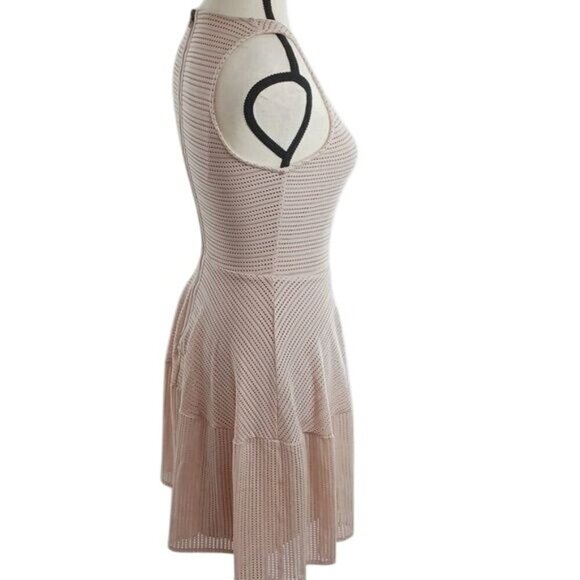 BCBGMaxazria Dress Soft Pink Cassandra Mini Fit and Flare Sleeveless Size XS - Picture 3 of 6